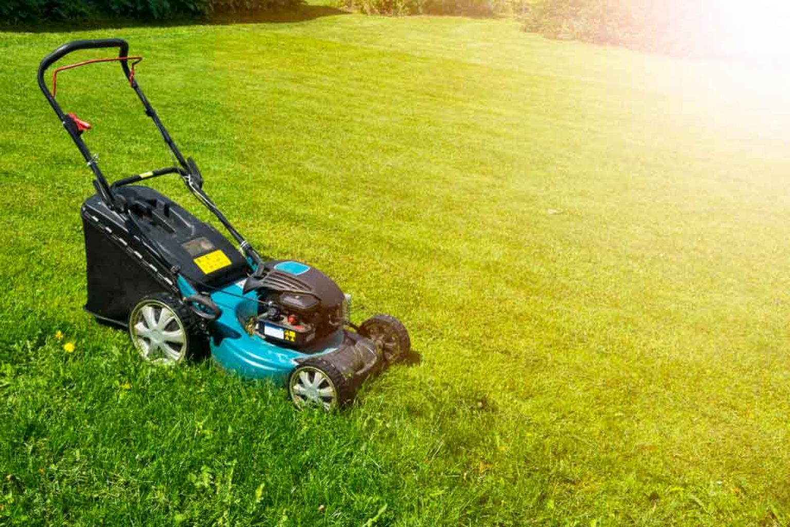 best cordless electric lawn mower for personal garden