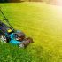 Best Electric Go-kart Review
