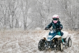 Best Four Wheeler