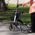 Best Electric Scooters for Adults