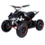Electric ATV