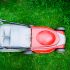 Best Electric Scooters for Girls