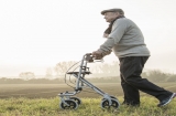 Best Rollator Walker For Knee Replacement – Your Walk To Recovery